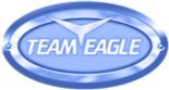 Team Eagle Logo
